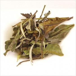 TH&Eacute; BLANC visuel feuilles s&eacute;lection maison